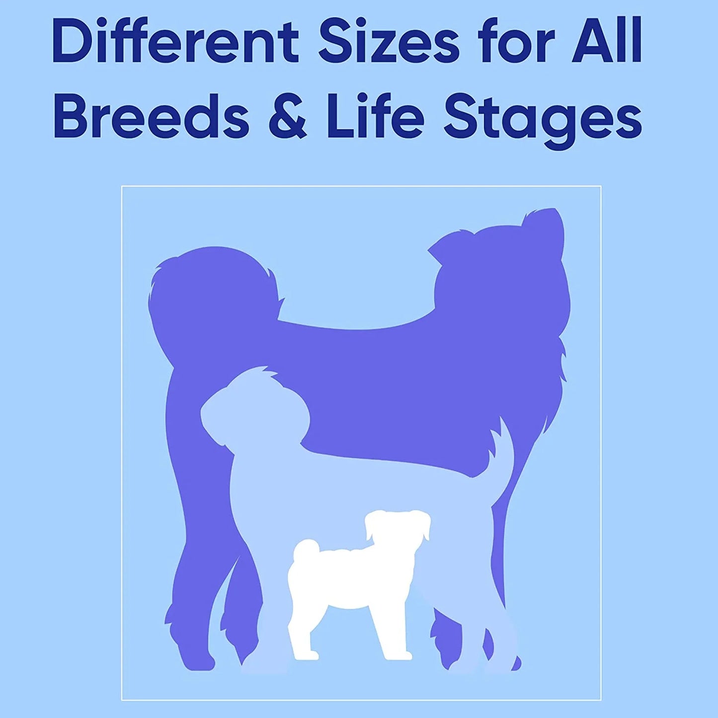 Reflective Dog Collar Adjustable for Extra Small Dogs - Green Collar