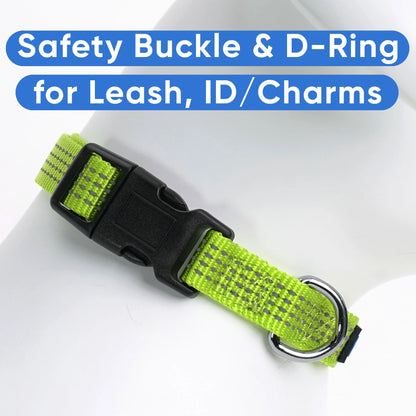 Reflective Dog Collar Adjustable for Extra Small Dogs - Green Collar