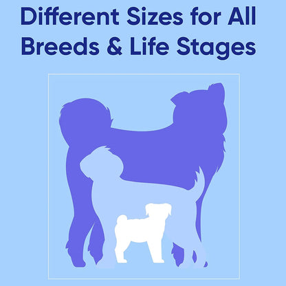 Reflective Dog Collar Adjustable for Extra Small Dogs - Green Collar