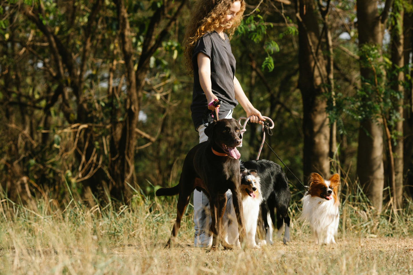 Retractable Dog Leash – Safe & Easy Control